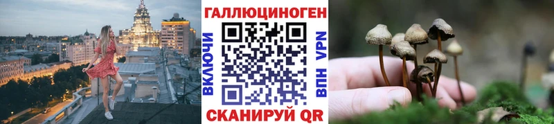 купить наркоту  гидра   Галлюциногенные грибы прущие грибы  Крымск 